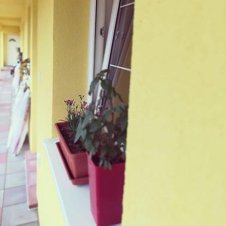 Zlatno 66 Bed & Breakfast Zlate Moravce Bagian luar foto